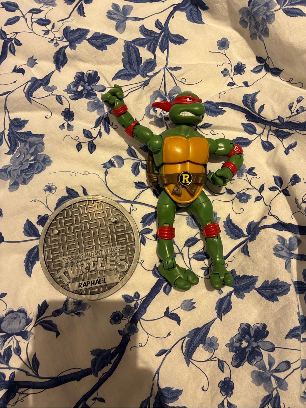 Raphael Teenage Mutant Ninja Turtles Figure - Green & Red